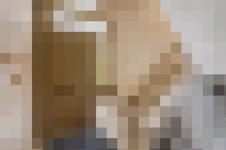 Regenwulp 58 Breda thumbnail 6