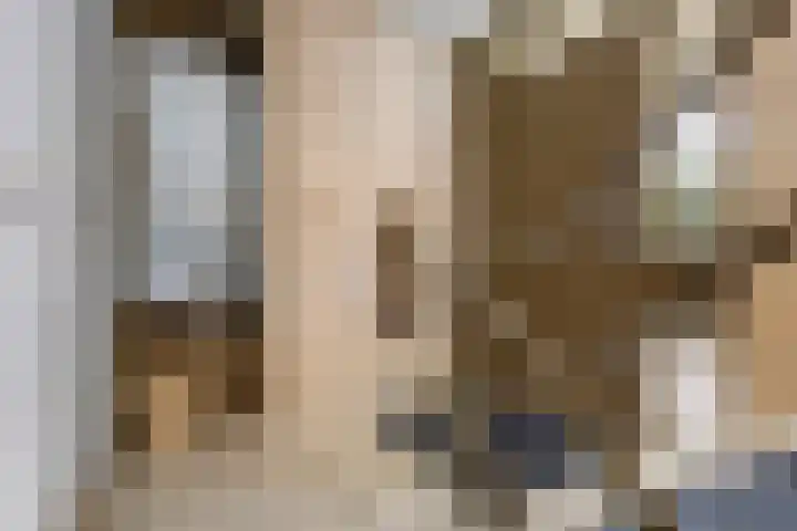 Regenwulp 58 Breda thumbnail 7
