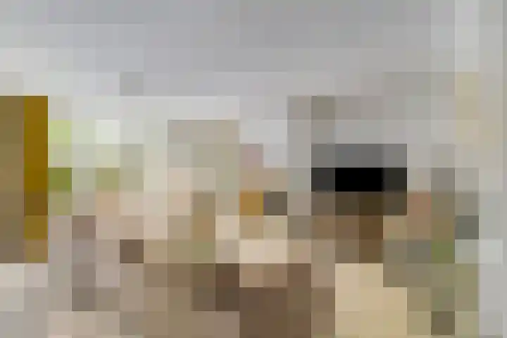 Regenwulp 58 Breda thumbnail 8