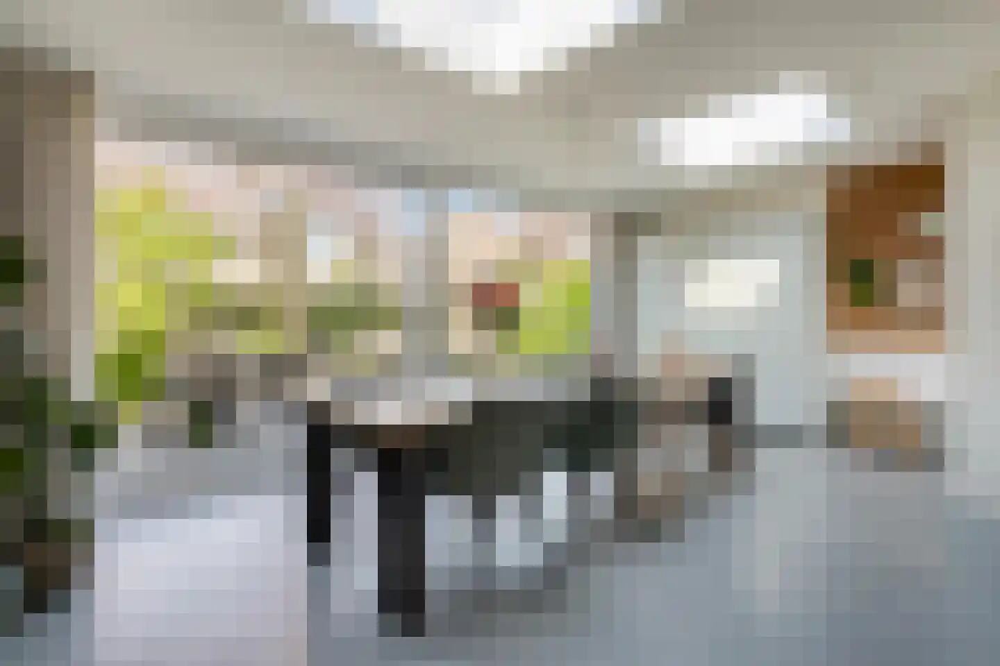 Regenwulplaan 34 's-Hertogenbosch thumbnail 16