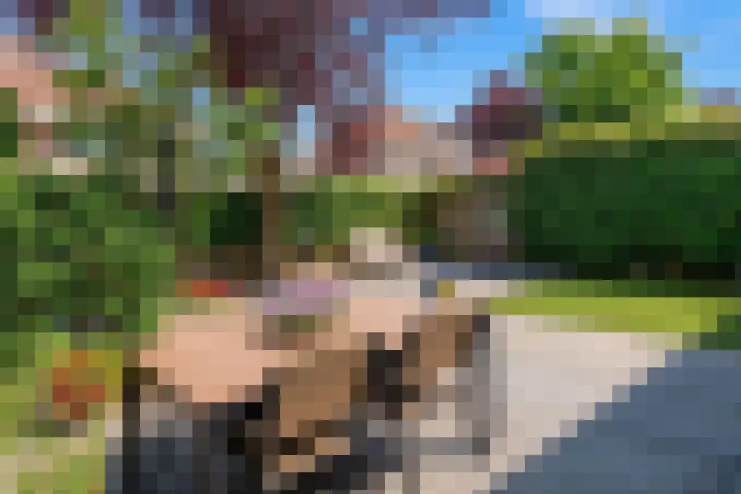 Regenwulplaan 34 's-Hertogenbosch thumbnail 22