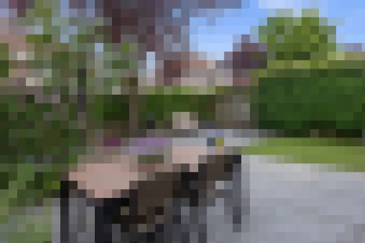 Regenwulplaan 34 's-Hertogenbosch thumbnail 27