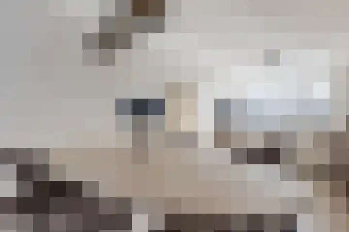 Regerstraat 11 Bergen op Zoom thumbnail 11