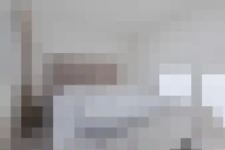 Regerstraat 11 Bergen op Zoom thumbnail 22