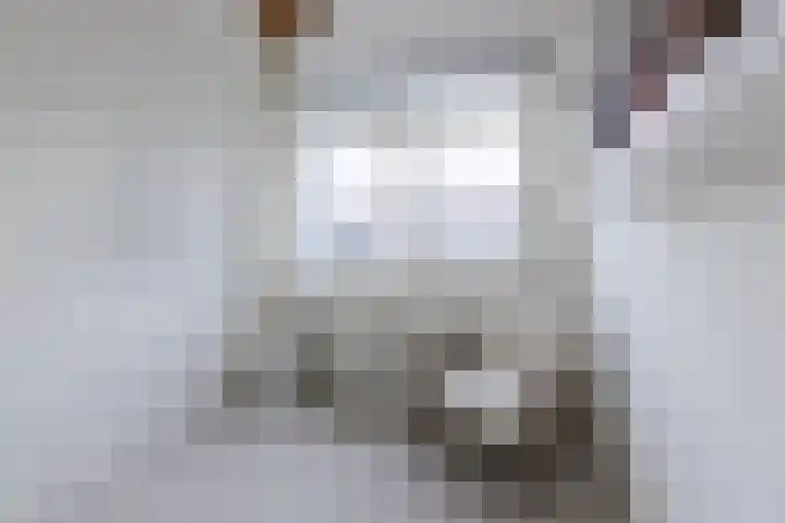 Regerstraat 11 Bergen op Zoom thumbnail 32