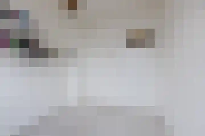 Regerstraat 11 Bergen op Zoom thumbnail 33