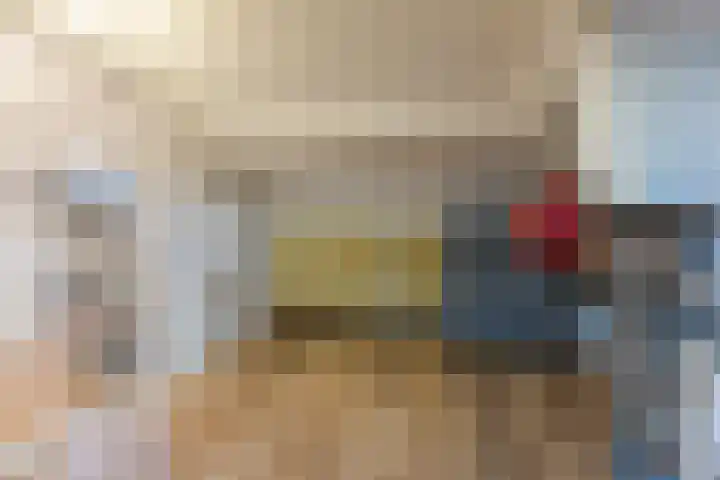 Regerstraat 11 Bergen op Zoom thumbnail 43
