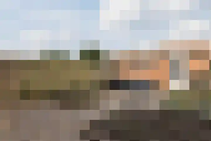 Regerstraat 11 Bergen op Zoom thumbnail 48