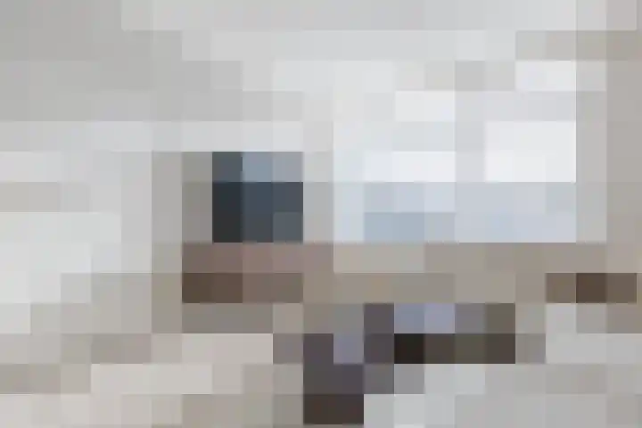 Regerstraat 11 Bergen op Zoom thumbnail 7
