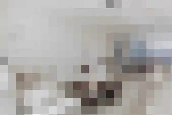 Regerstraat 11 Bergen op Zoom thumbnail 8