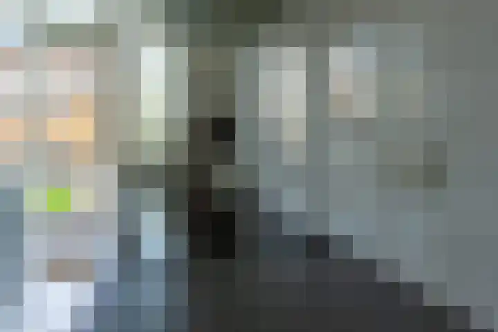 Regerstraat 13 Bergen op Zoom thumbnail 8