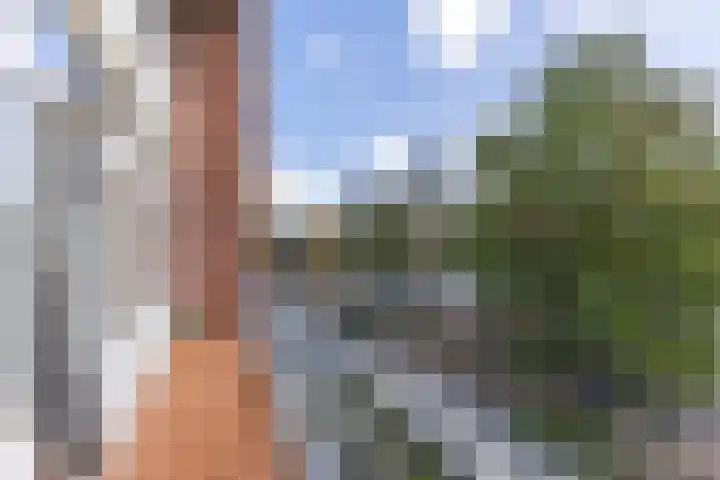 Regerstraat 20 Heemskerk thumbnail 10