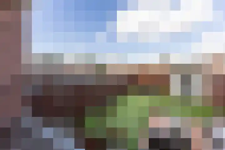Regerstraat 20 Heemskerk thumbnail 11