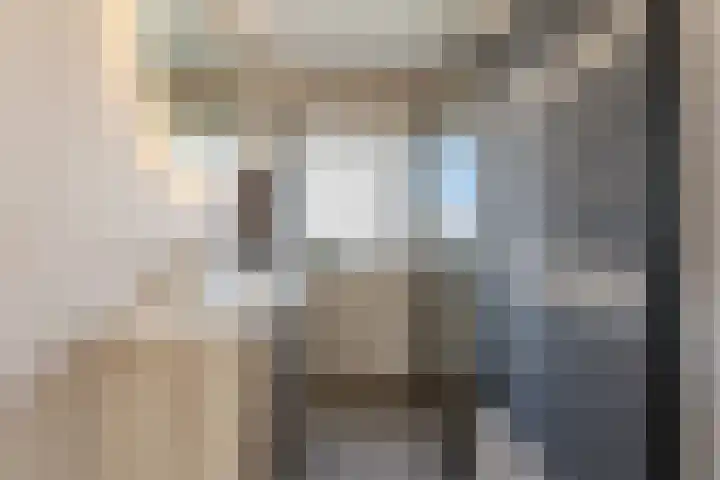 Regerstraat 20 Heemskerk thumbnail 25