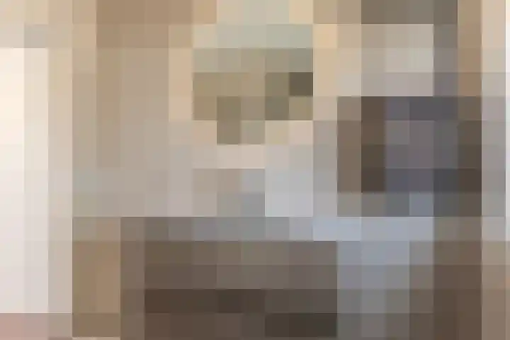 Regerstraat 20 Heemskerk thumbnail 27