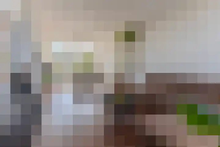 Regerstraat 20 Heemskerk thumbnail 4