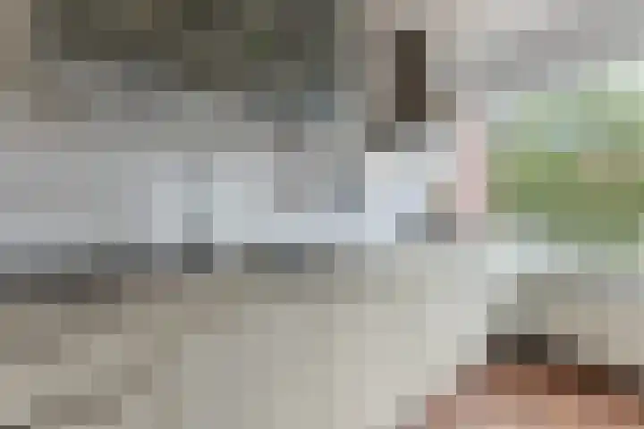 Regerstraat 20 Heemskerk thumbnail 8