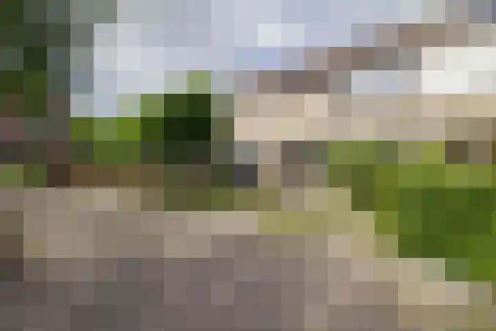 Regerstraat 23 Bunschoten-Spakenburg thumbnail 35