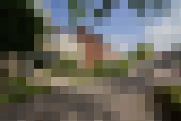 Regerstraat 23 Bunschoten-Spakenburg thumbnail 36