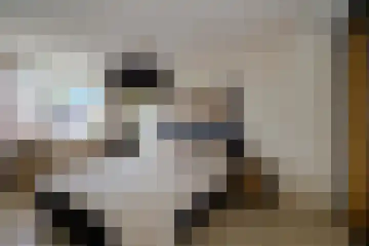 Regerstraat 7 Bunschoten-Spakenburg thumbnail 13
