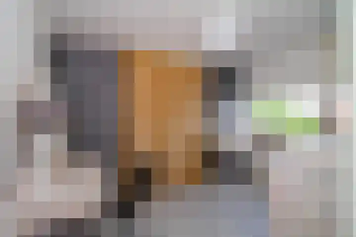 Regerstraat 7 Bunschoten-Spakenburg thumbnail 17