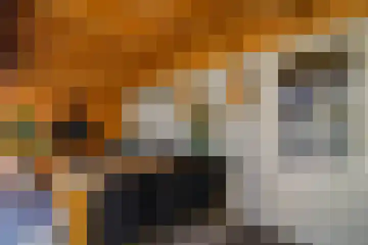Regerstraat 7 Bunschoten-Spakenburg thumbnail 32