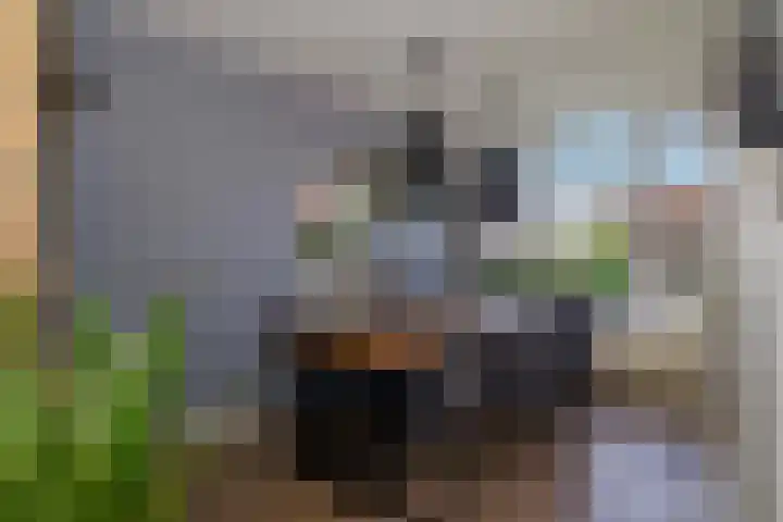 Regerstraat 7 Bunschoten-Spakenburg thumbnail 6