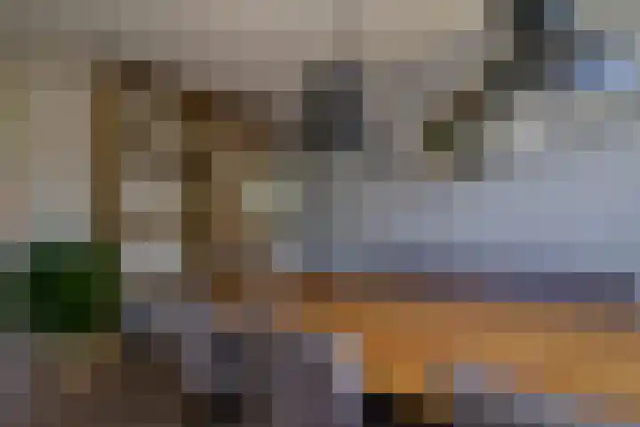 Regerstraat 7 Bunschoten-Spakenburg thumbnail 7