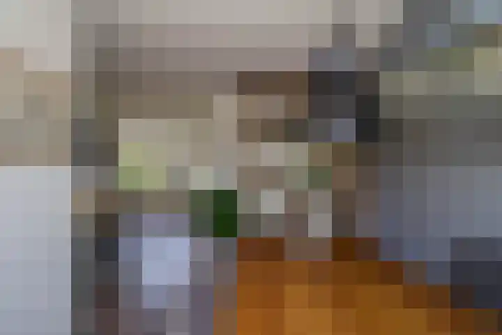 Regerstraat 7 Bunschoten-Spakenburg thumbnail 8