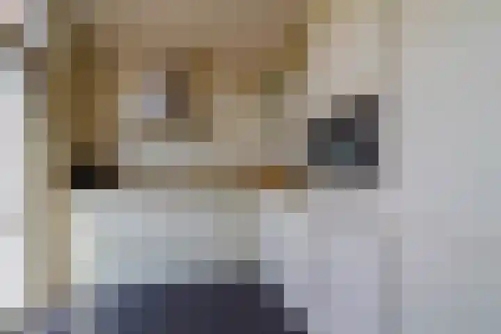 Regerstraat 7 Bunschoten-Spakenburg thumbnail 9