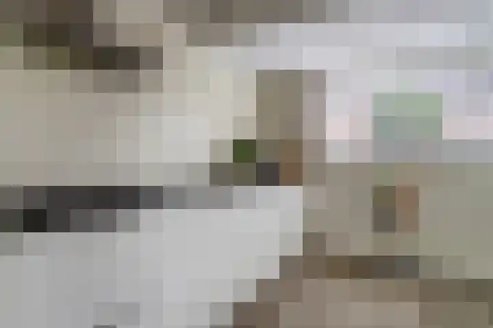Regge 17 Tilburg thumbnail 10