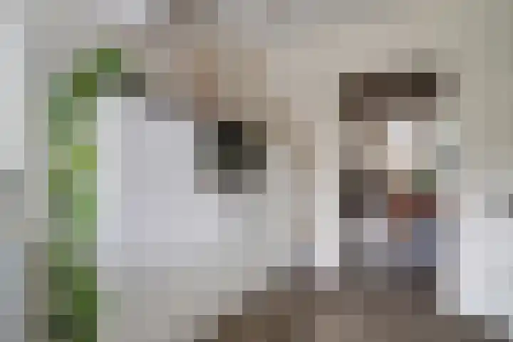 Regge 17 Tilburg thumbnail 11