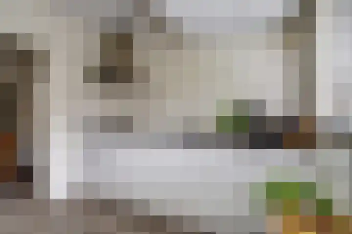 Regge 17 Tilburg thumbnail 12