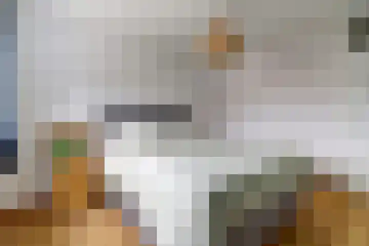 Regge 17 Tilburg thumbnail 16