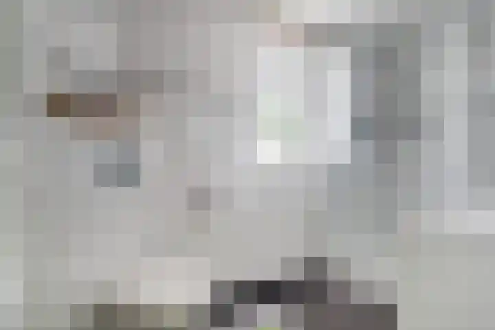 Regge 17 Tilburg thumbnail 19