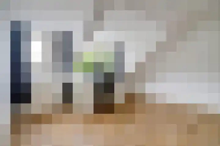 Regge 17 Tilburg thumbnail 26