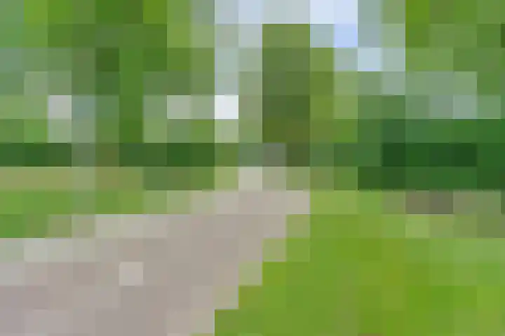 Regge 17 Tilburg thumbnail 34