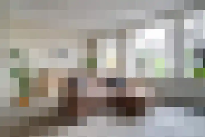 Regge 17 Tilburg thumbnail 4