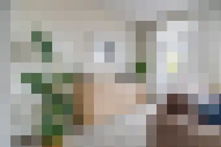 Regge 17 Tilburg thumbnail 5