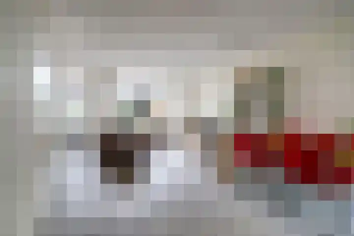 Regge 17 Tilburg thumbnail 6