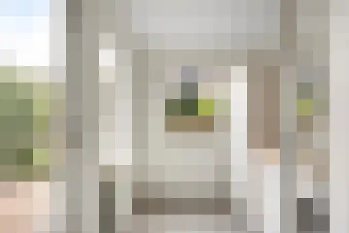 Regge 22 Pijnacker thumbnail 13