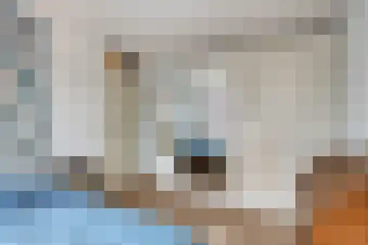 Regge 22 Pijnacker thumbnail 17