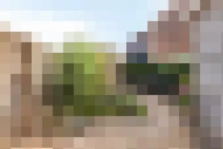 Regge 22 Pijnacker thumbnail 21
