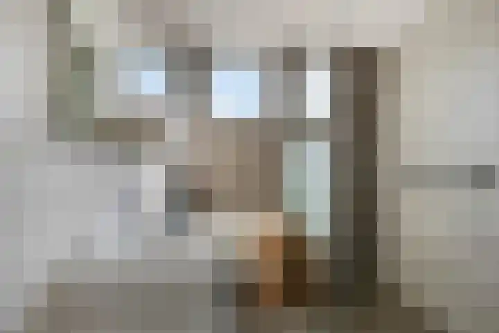Regge 22 Pijnacker thumbnail 4