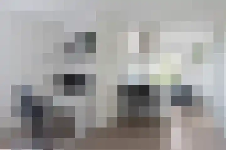 Regge 30 Rotterdam thumbnail 11