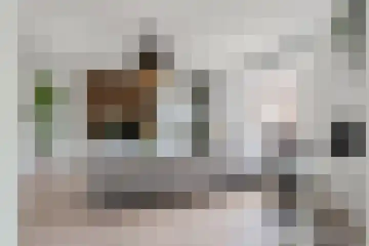 Regge 30 Rotterdam thumbnail 13
