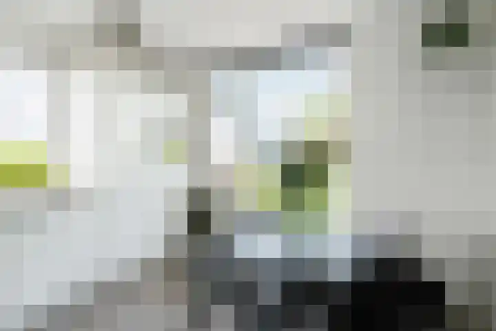 Regge 30 Rotterdam thumbnail 15