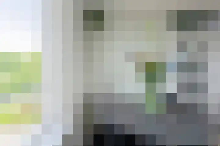 Regge 30 Rotterdam thumbnail 16