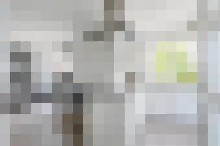 Regge 30 Rotterdam thumbnail 19