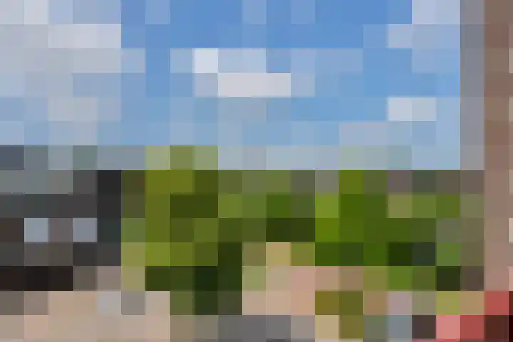 Regge 30 Rotterdam thumbnail 29